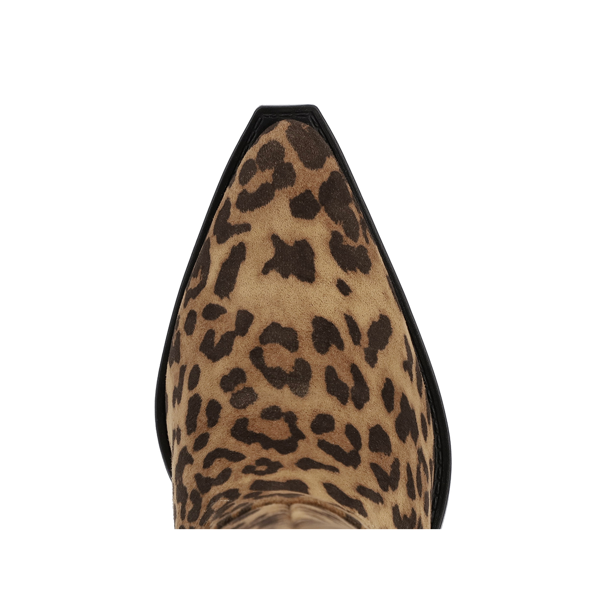 MESSINI - LEOPARD - Image 4